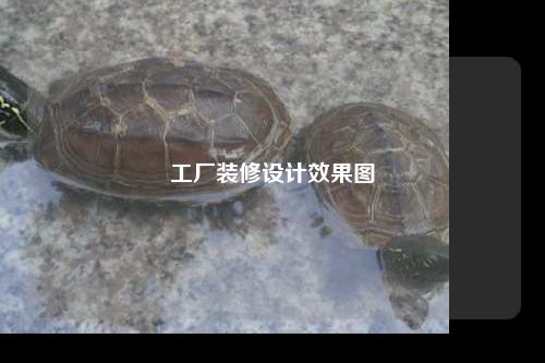 工廠裝修設計效果圖