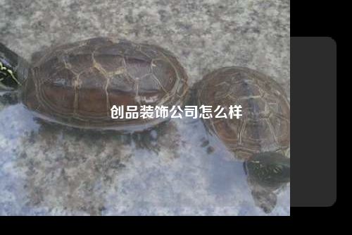 創(chuàng)品裝飾公司怎么樣