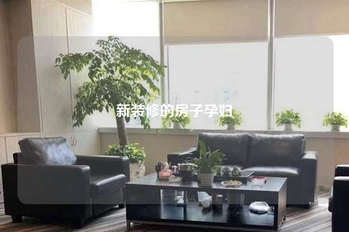 新裝修的房子孕婦