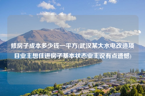 修房子成本多少錢一平方(武漢某大水電改造項目業主想住進房子基本狀態業主說有點遺憾)