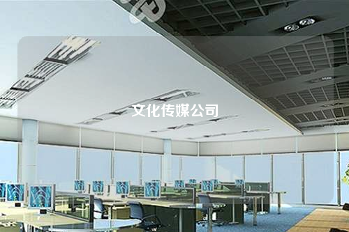 文化傳媒公司