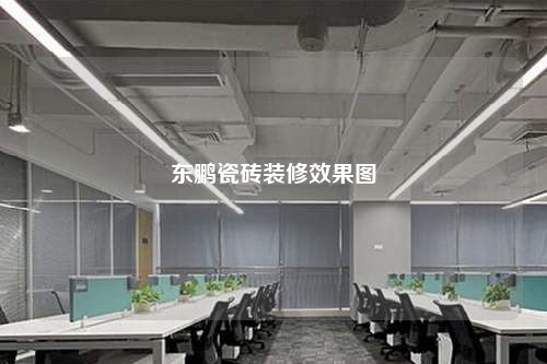 東鵬瓷磚裝修效果圖