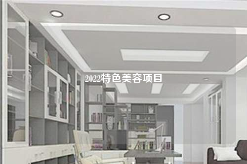 2022特色美容項目
