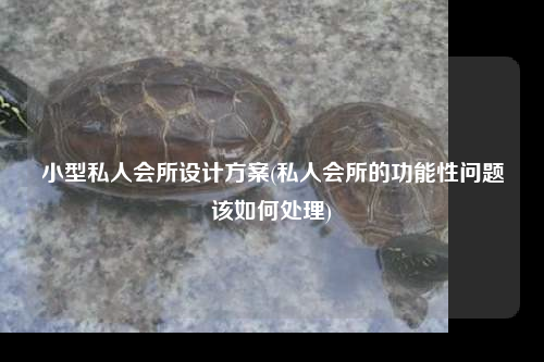 小型私人會所設計方案(私人會所的功能性問題該如何處理)