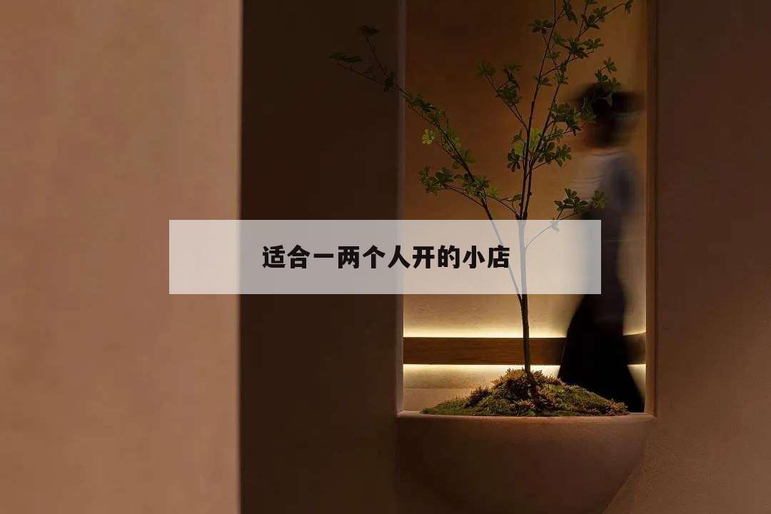 適合一兩個人開的小店,適合倆人開的小店