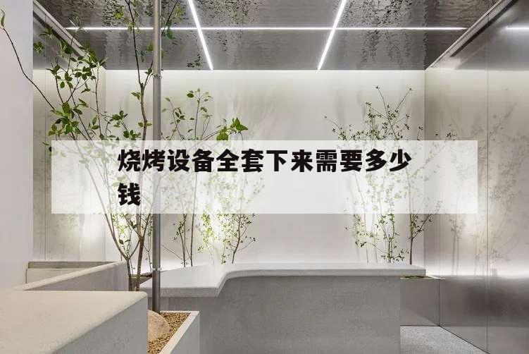 燒烤設備全套下來需要多少錢,燒烤機多少錢