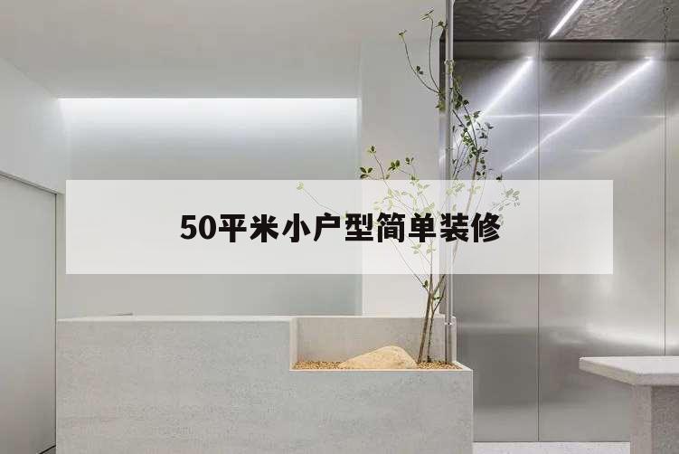 50平米小戶型簡單裝修,小戶型裝修50平米 設計