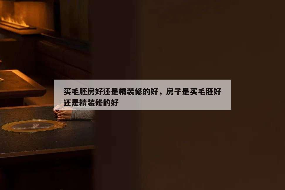買毛胚房好還是精裝修的好,房子是買毛胚好還是精裝修的好