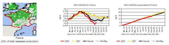 研究報告:干旱天氣對全球主要農產品的影響