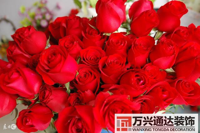 風(fēng)水異性緣女生增加異性緣的風(fēng)水