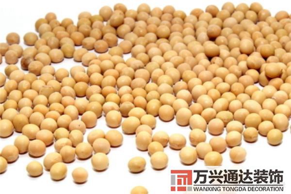 蚯蚓與風(fēng)水有蚯蚓的地方是風(fēng)水寶地嗎?