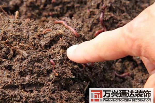 蚯蚓與風(fēng)水有蚯蚓的地方是風(fēng)水寶地嗎?