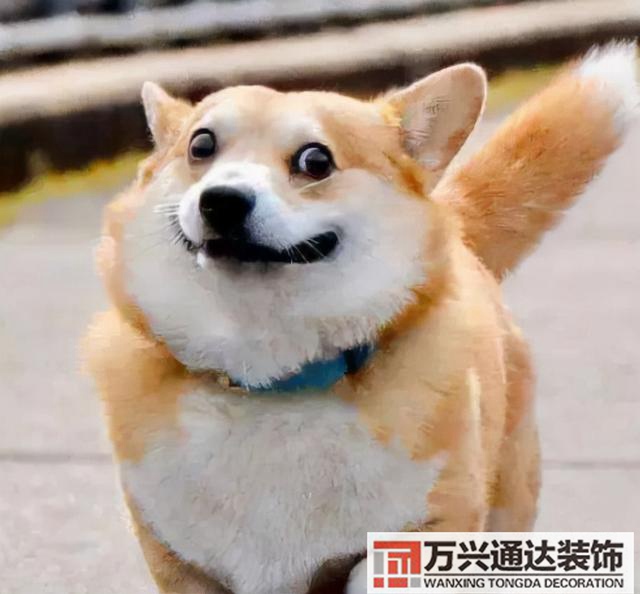 陽臺裝修設(shè)計陽臺的裝修設(shè)計圖片大全