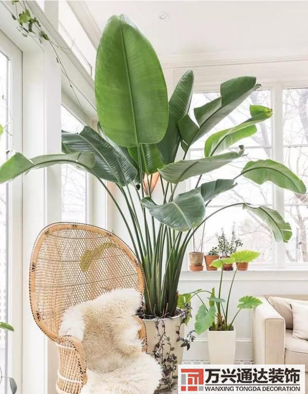 室內風水圖片室內風水布局圖解