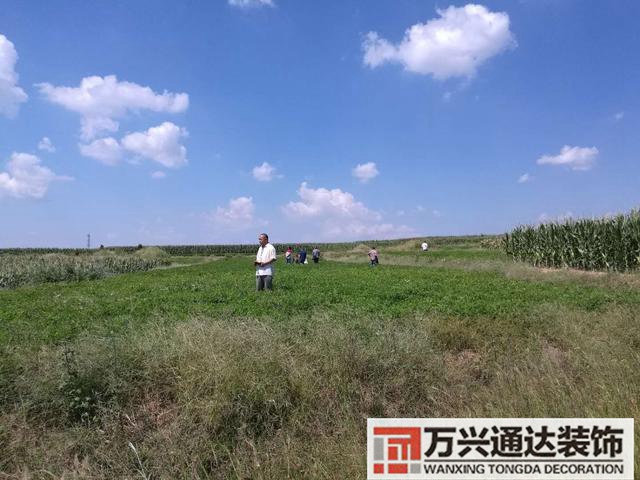 風水消砂納水風水消砂納水法