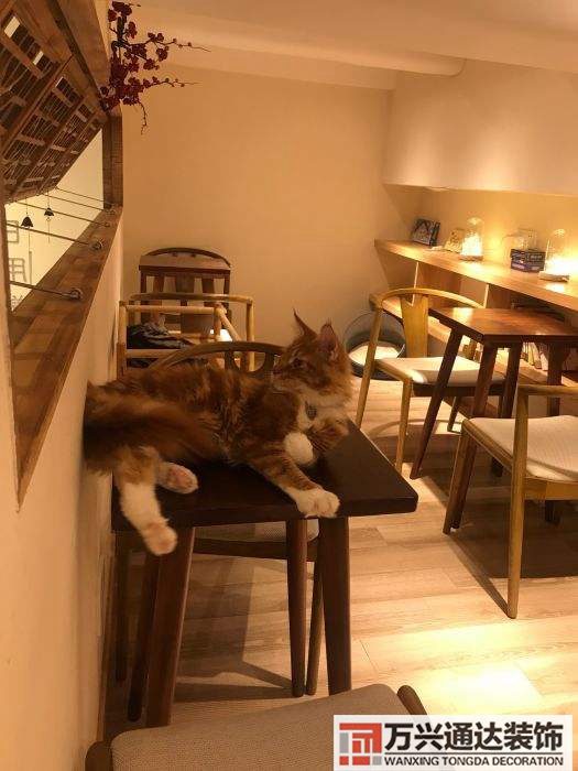 徐匯區連鎖店鋪裝修上海徐匯區寫字樓裝修